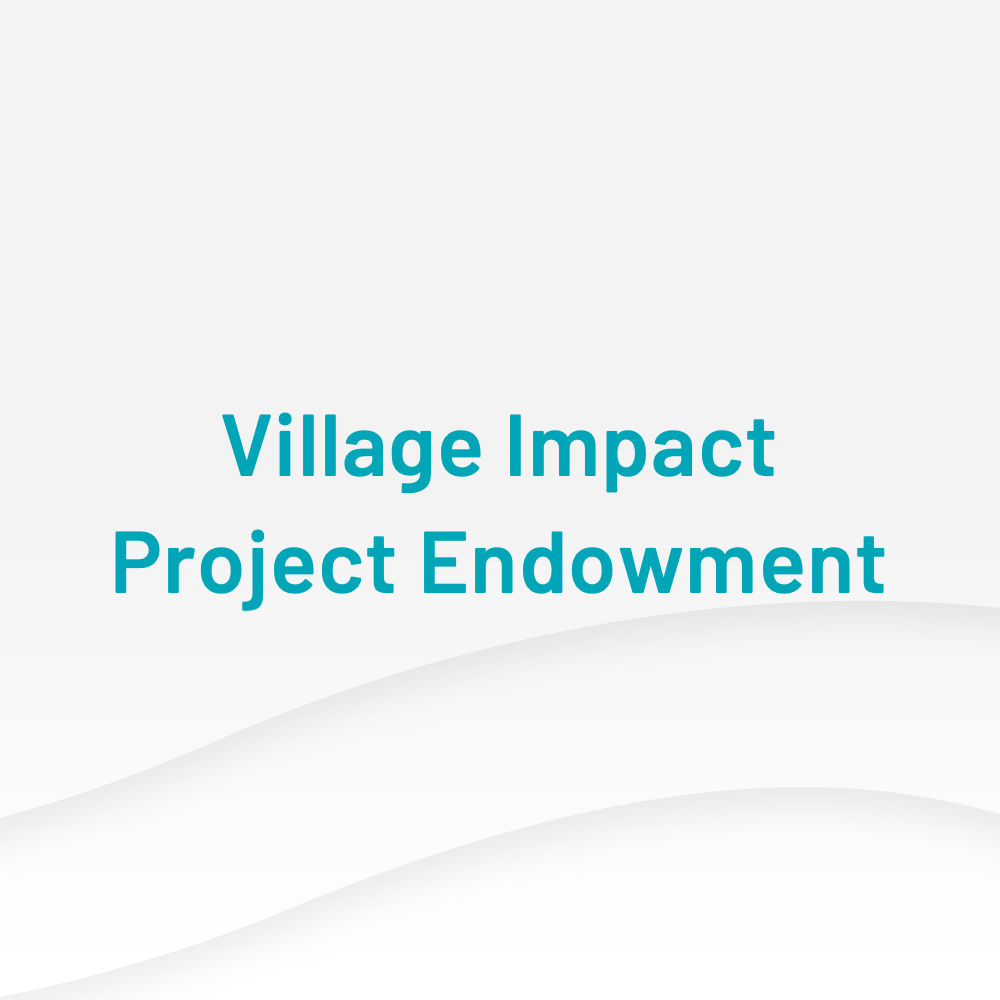 Village Impact Project Endowment